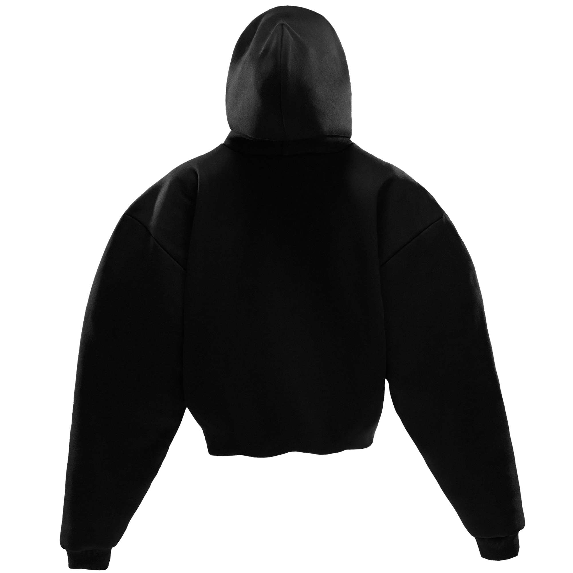 Unlucky Cloud black oversized hoodie back view by Elliot and Dylan Page